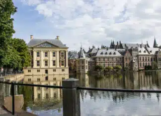 Progressives Suggest Putting Trump on Trial in The Hague