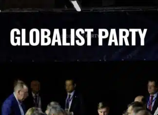 Democrat Party’s Plan to Make Hakeem Jeffries President of the USA