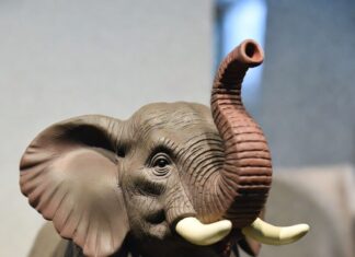 GOP Caves on DHS: ICE & CBP to Get Paid If Reconciliation Works