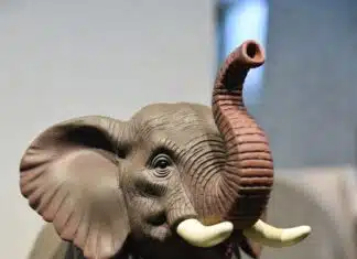 GOP Caves on DHS: ICE & CBP to Get Paid If Reconciliation Works