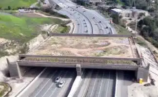 California’s Ugly $114 Million Mountain Lion Bridge Is Way Over Budget