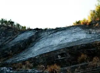 An Impeachment Whistleblower Lied, Apologized & They Knew! Arrests Coming?