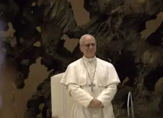 Axelrod Enlisted Pope Leo to Turn Catholics Against Trump by November