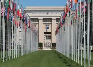 Good News! The UN Faces Extinction