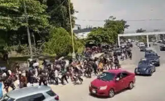 Here They Come: Caravans Heading for the Border