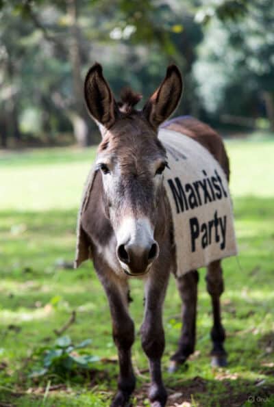 Useless GOP as Quasi-Communist Dems Rule on ICE & CBP Funds