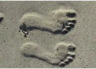 120,000 Year Old Footprints Tell a Story of People on the Cusp of an Ice Age