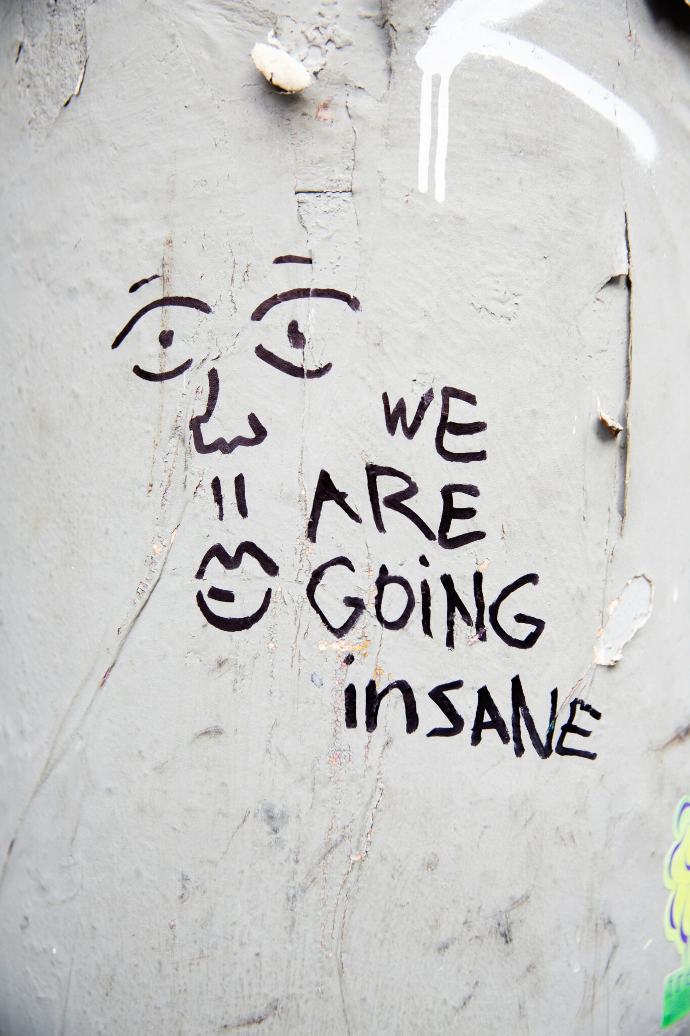 President Trump Did Something & Everyone Panics Again