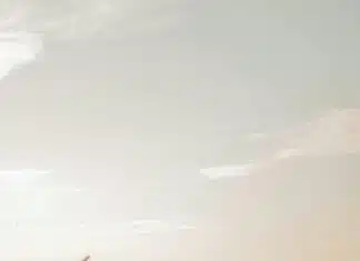 Could Foreigners Make Up One-Third of the US Population?