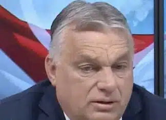 A New Hungarian Prime Minister, a Fake Tell-All & Viktor Orban Was a Good Guy