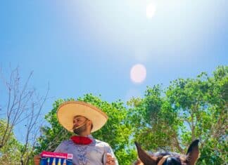 Pray Amy Doesn’t Go with the Distorted Version of the Constitution