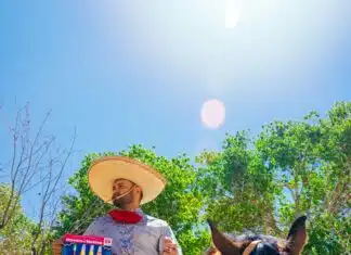 Pray Amy Doesn’t Go with the Distorted Version of the Constitution