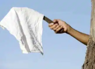 A Fake NATO Ally Cuts a Deal with Iran?