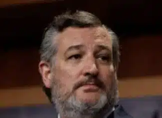 Sen. Cruz: Why the Senate Vote Collapsed & They Went Home