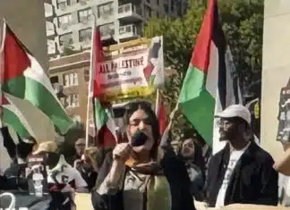 NYC Mayor Zohran Mamdani Brings Hamas & Hezbollah to the Streets