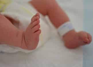 Fauci Put Scalps from Aborted Babies on Mice & Sent Them to China