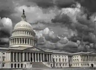 The Reason Democrats Brought in Millions of Unvetted Foreigners