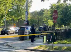 Shooting at the D.C. National Mall