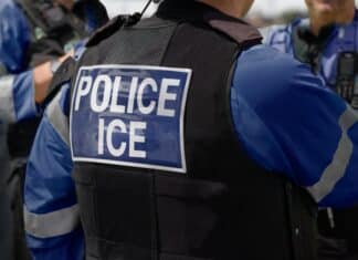DHS Temporarily Halts Vehicle Stops After Two Fatal Shootings