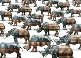 This Is Why We Had Open Borders with Little GOP Pushback
