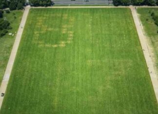 Disgusting Vandals Carve 86 47 in the National Mall Grass