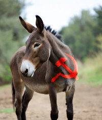 We Will Soon Be Looking at a Communist Caucus in Congress