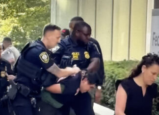 Armed Man Sets off an Incendiary Device Outside Immigration Court