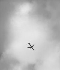 First Haitian Deportation Flight Takes Off