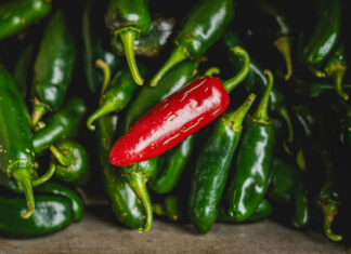 Oh, What Now! You Can’t Eat Mexican Jalepenos & Eggs