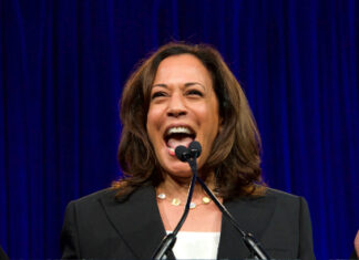 Kamala Harris Shares Her Presidential Platform of New Ideas