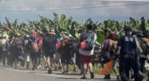 Honduran Caravan Reaches Mexico