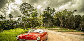 Fuel Economy Standards Are Cut, Choice Is Back